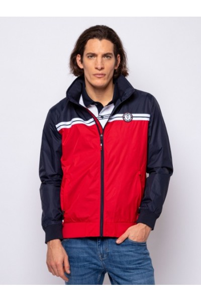 Nexar tricolor