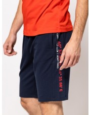 Zivio navy