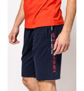 Zivio navy