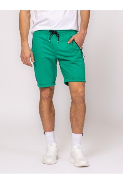 Zordons25 green